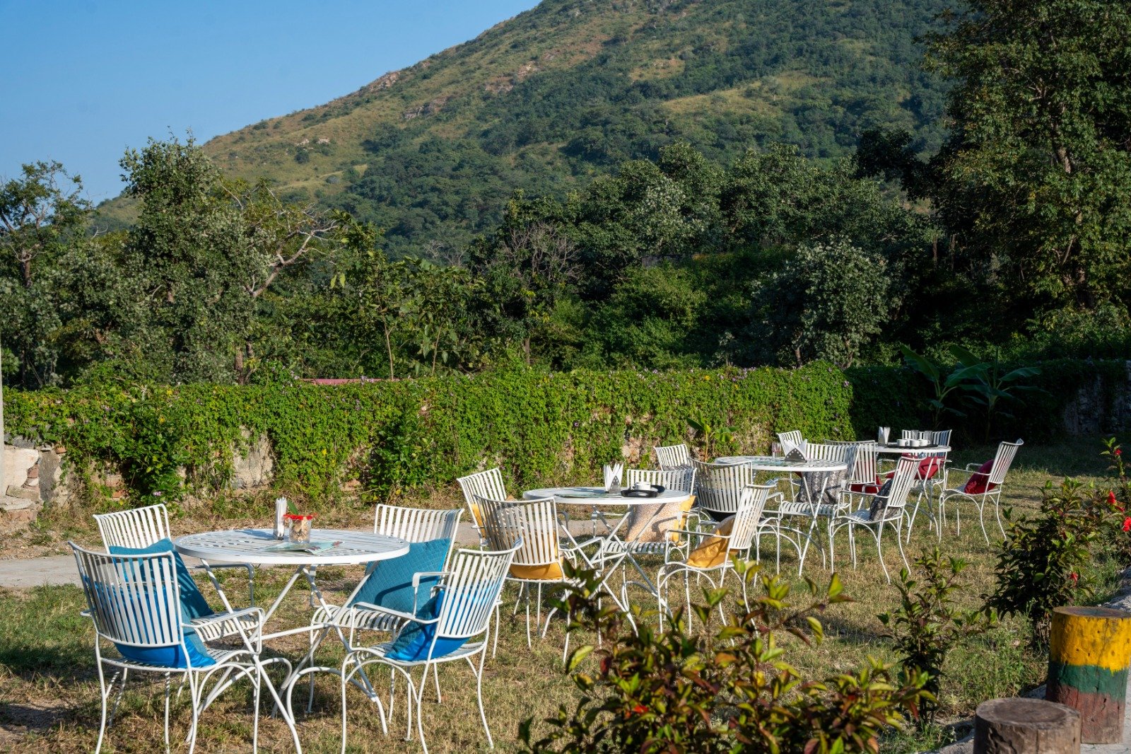 WhatsApp Image 2025-08-28 at 10.45.26 (1)